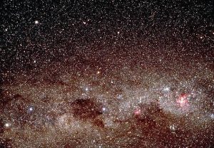 offspring like stars